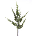 22IN Juniper Berry Spray, Natural