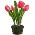 10.5"TULIP IN SOIL WITH MOSS -CS