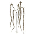40IN Amaranthus Spray, Champagne