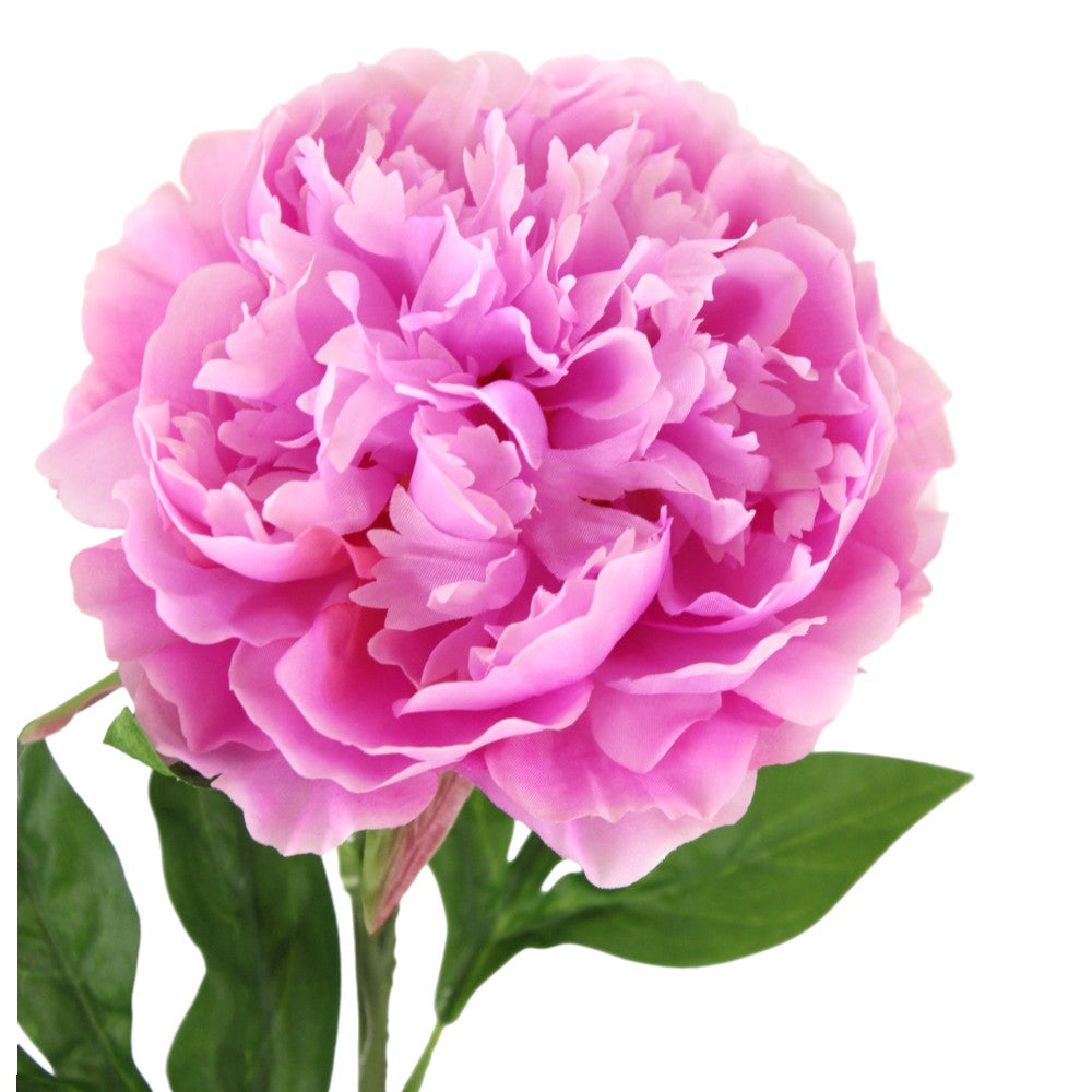 26" PEONY STEM-PINK
