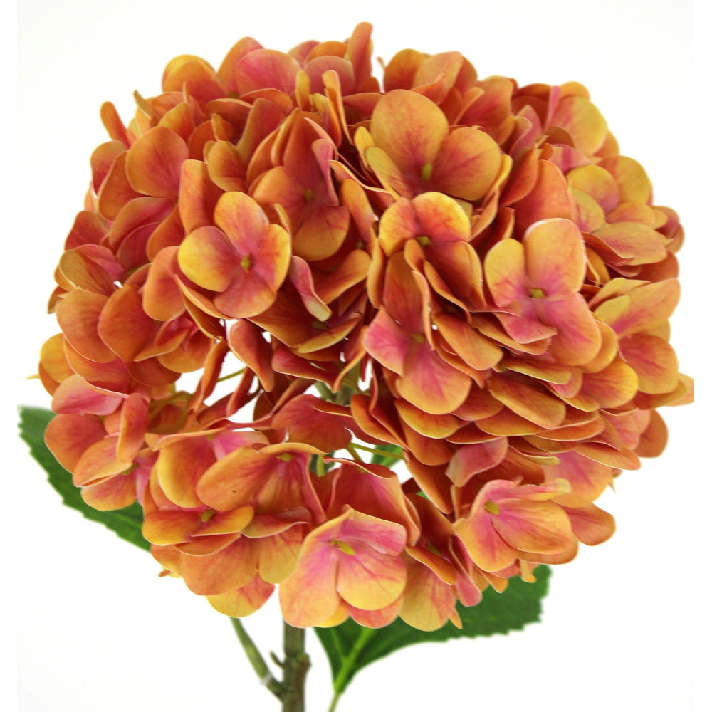 27.6" HYDRANGEA STEM-CORAL
