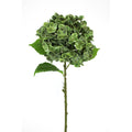 27.6" HYDRANGEA STEM-GREEN