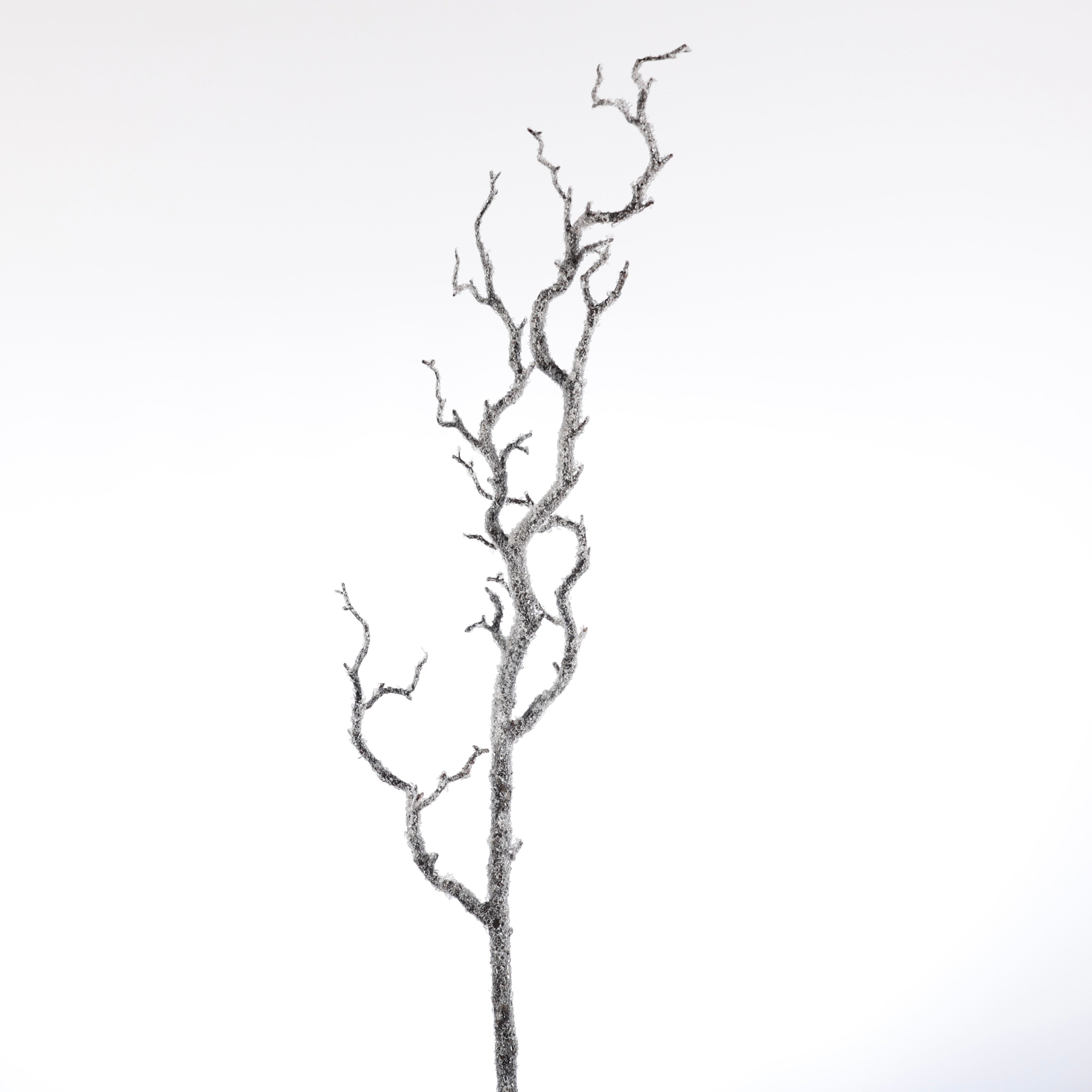 39" SNOWED BRANCH