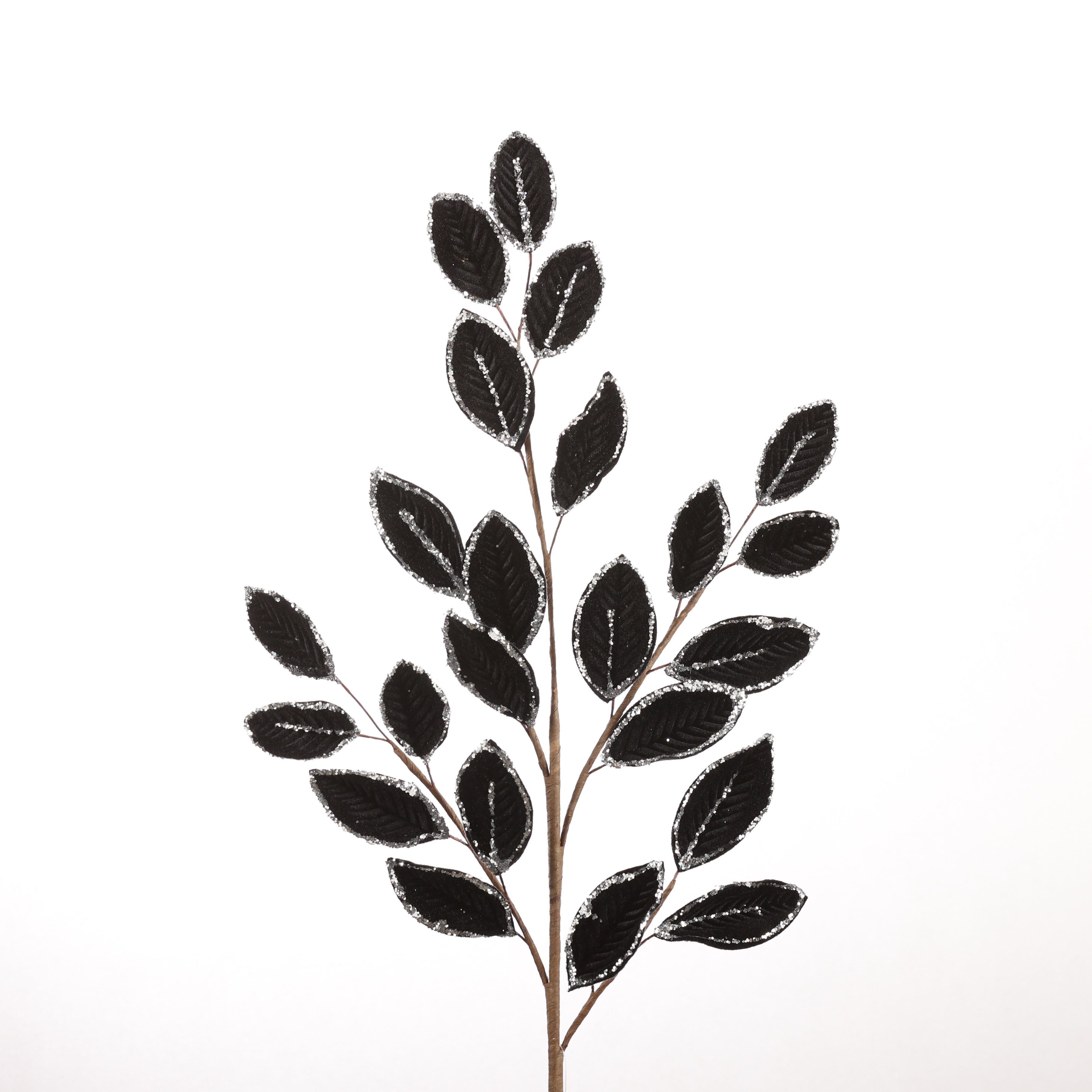 25" BLACK ELIAGNUS SPRAY