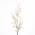 28" BERRY STEM-CREAM