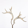 25" ANTLER SPRAY-WHITE WASH
