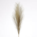 33" PAMPAS GRASS SPRAY-SAGE