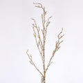 36" CRYSTAL BRANCH-CHAMPAGNE