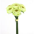 9" RANUNCULUS BUNDLE-CREAM GREEN