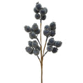21IN Berry Spray, Blue