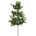 26IN Ruscus Spray, Green