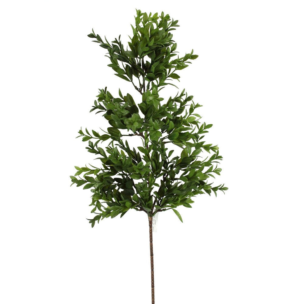 26IN Ruscus Spray, Green