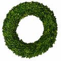 24" PRESERVED BOXWOOD WREATH