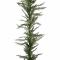 6' Real Touch Garland with Mixed Abies Grandis