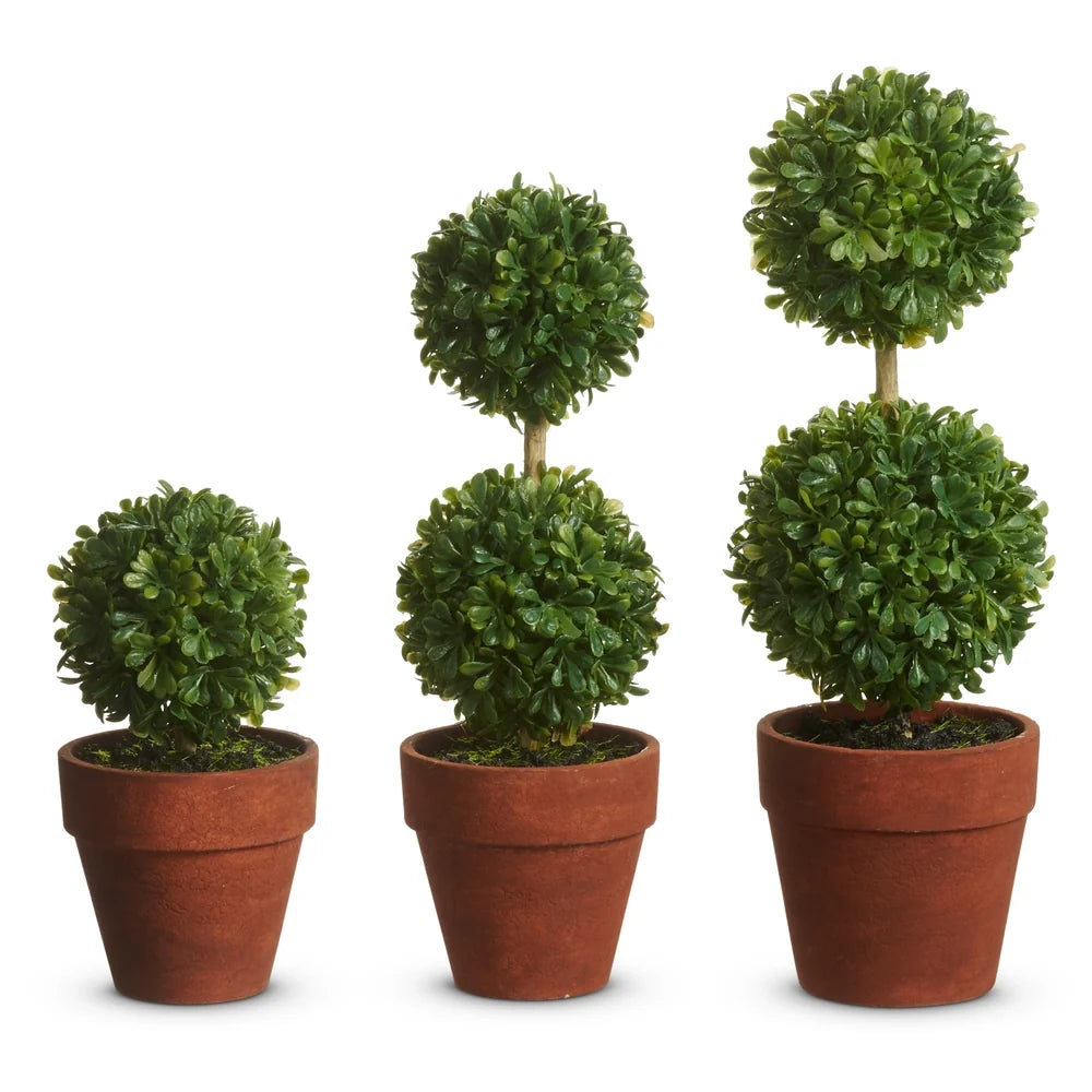 8.5" Potted Mini Boxwood Topiaries (MEDIUM ONLY)