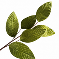 31" Green Velvet Leaf Spray