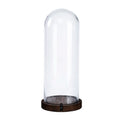 D6.5''H16'' -CLEAR GLASS DOME CLOCHE WITH WOODEN BASE
