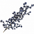 27" Blue Iced Crabapple Spray