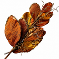 39" Chocolate/Gold Beaded Magnolia Leaf Spray