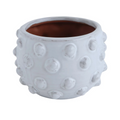 Terracotta Planter with Raised Dots