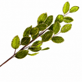 25.5" Green Velvet Leaf Spray
