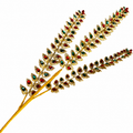29.5" Red & Green Jewel Spray