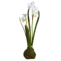 14" White Paperwhite BULB ARTIFICIAL FLOWER Drop In