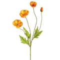 23.6"POPPY SPRAY OR