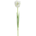 27" PARROT TULIP SPRAY WH/GR