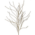47" CHAMP/GLD GLITTER/SEQUIN WISPY WILLOW SPRAY