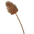 29" GOLD METALLIC UV SEQUOIA PINE CONE 8" STEM