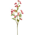30.5"CRABAPPLE SPRAY RO