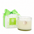 Aruba 13 oz Candle in White Box with Bow