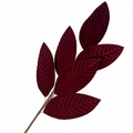 31" Burgundy Velvet Leaf Spray