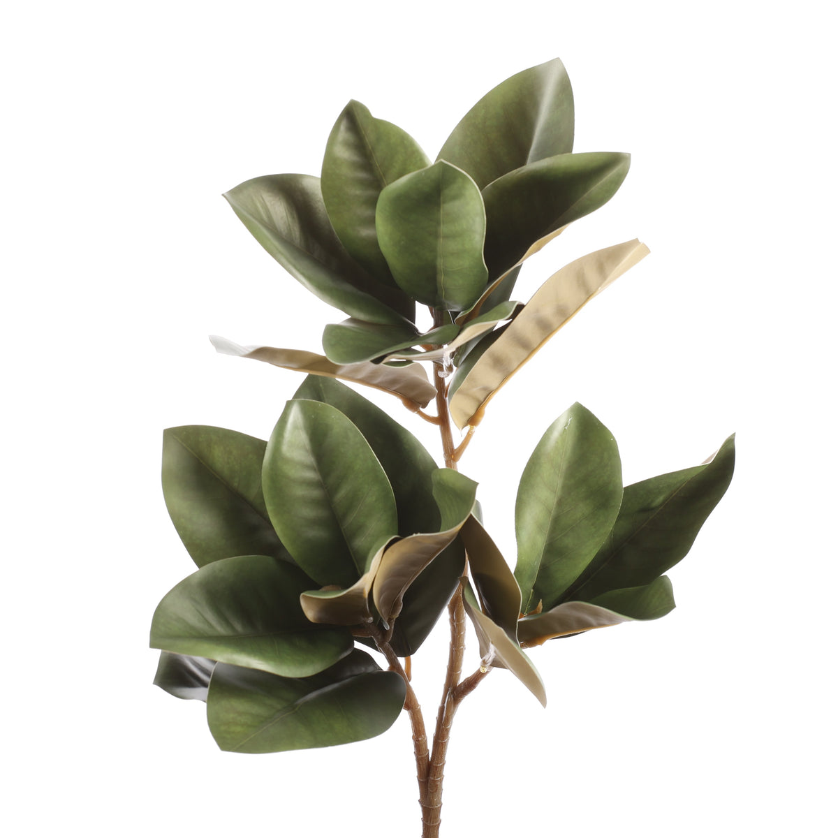 32" Real Touch Magnolia Leaves Spray