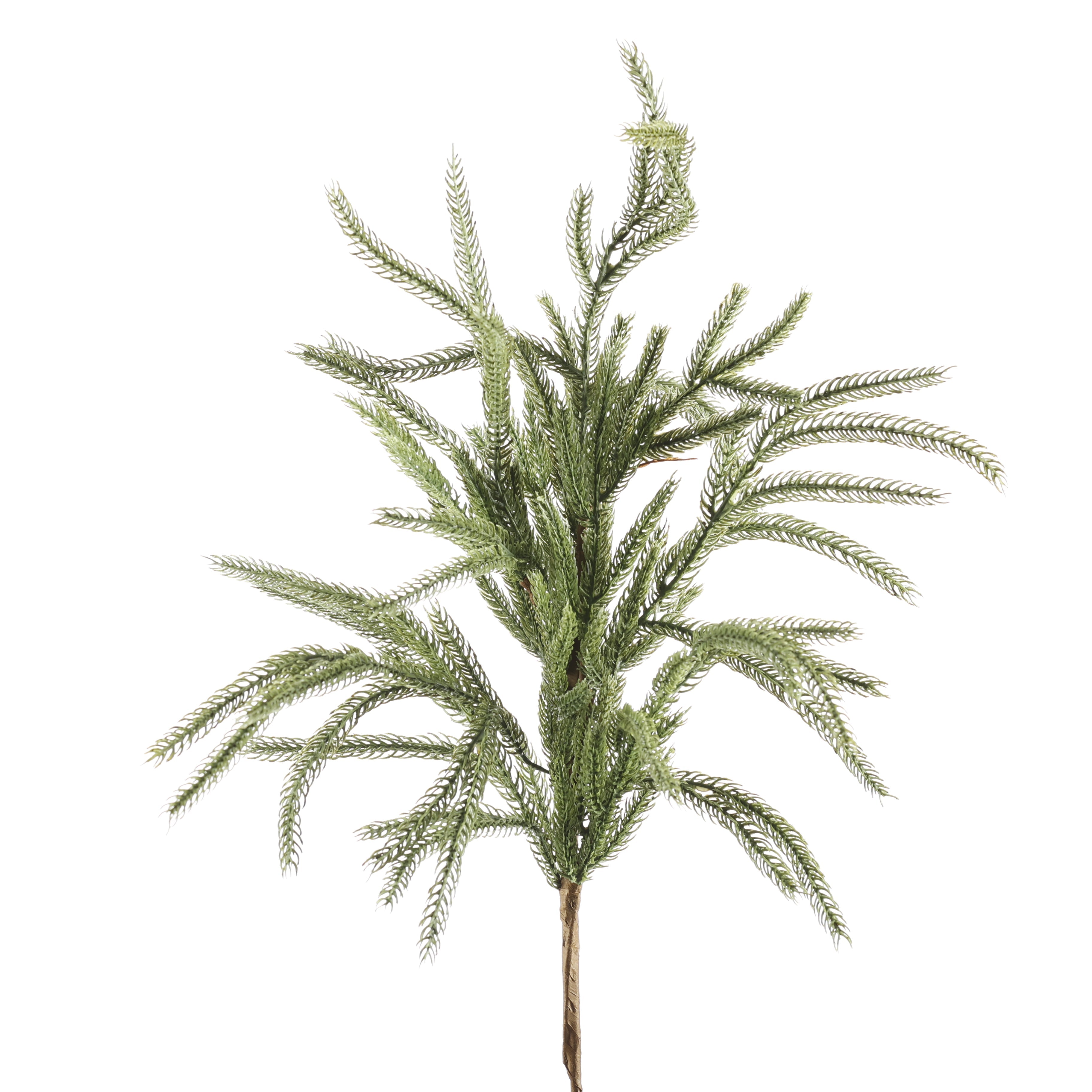 27" Real Touch Norfolk Pine Spray