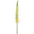 44"FOXTAIL LILY SPRAY YE