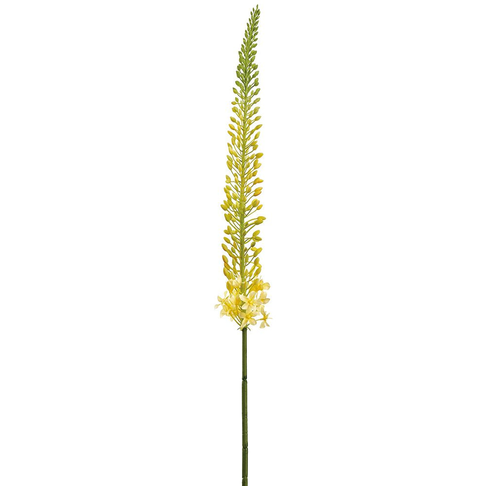 44"FOXTAIL LILY SPRAY YE